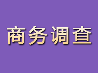 沙湾区商务调查